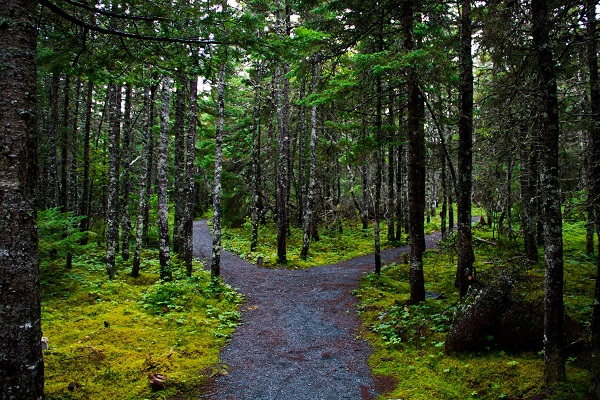 Moral Value of Wisdom – Proverbs 2:1-11